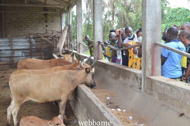 SEN KOLA BALOGUN: AGRIC-PRENUERSHIP PANACEA TO WHITE COLLAR JOBS