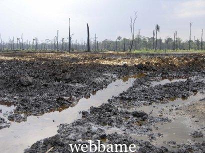 SANTA BARBARA OIL SPILL: ABEREKE COMMUNITY IN ONDO STATE CRIES OUT ASK AITEO FOR N20BN COMPENSATION RELIEF MATERIALS