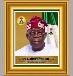 NIGERIAN IDEAL- TINUBU, 