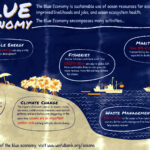 WHAT YOU NEED TO KNOW ABOUT BLUE ECONOMY BY LEADERSHIP