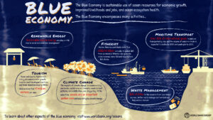 WHAT YOU NEED TO KNOW ABOUT BLUE ECONOMY  BY LEADERSHIP 