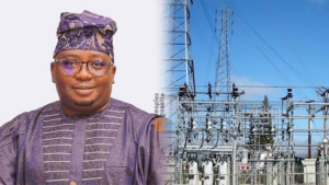 ADELABU LACKS THE CAPACITY TO RUN POWER SECTOR--ELECTRICITY WORKERS
