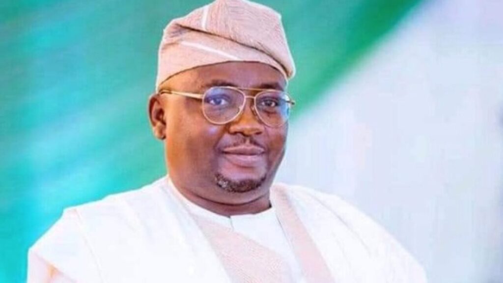 POWER SUPPLY: NIGERIANS SEEK REMOVAL OF ADELABU