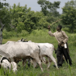 Untitled-design-2021-09-14T153056.326