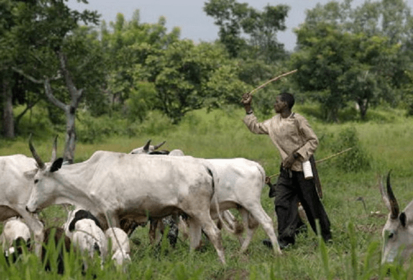 Untitled-design-2021-09-14T153056.326