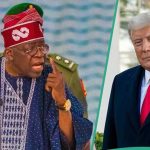 Tinubu-and-Trump