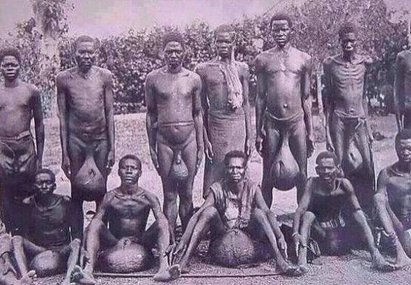 main-qimg-437521887aa62ded4529490ed2e7c220