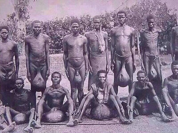 main-qimg-437521887aa62ded4529490ed2e7c220