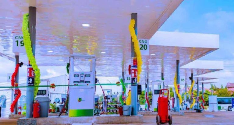 Screenshot_20250206_003648_WhatsAppBusiness